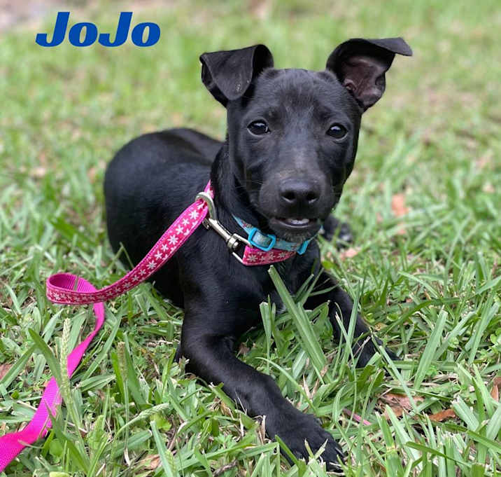 Photo of JOJO
