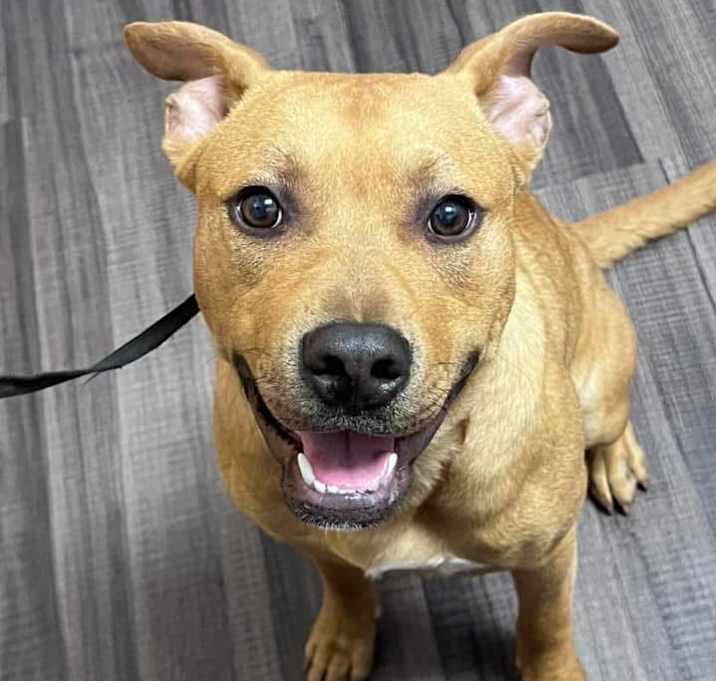 Photo of Clyde