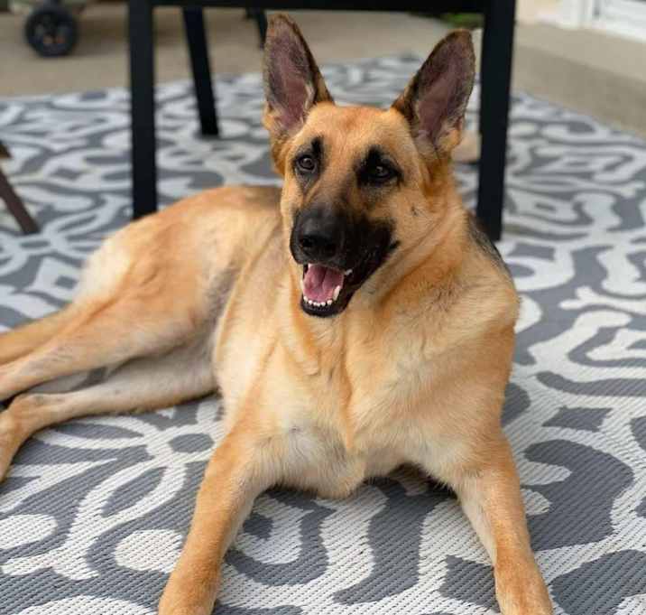 Photo of Peach