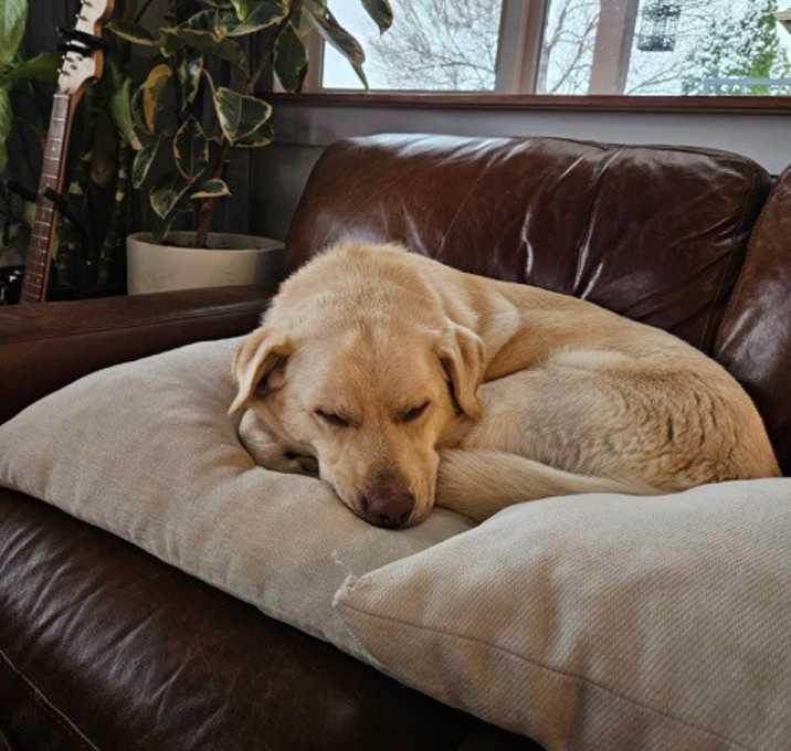 Photo of MArvin