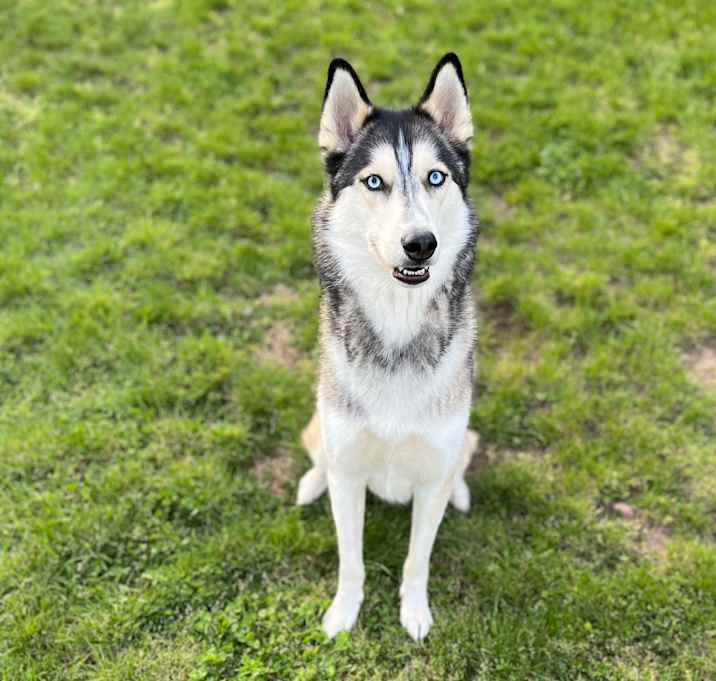 Photo of Tybolt