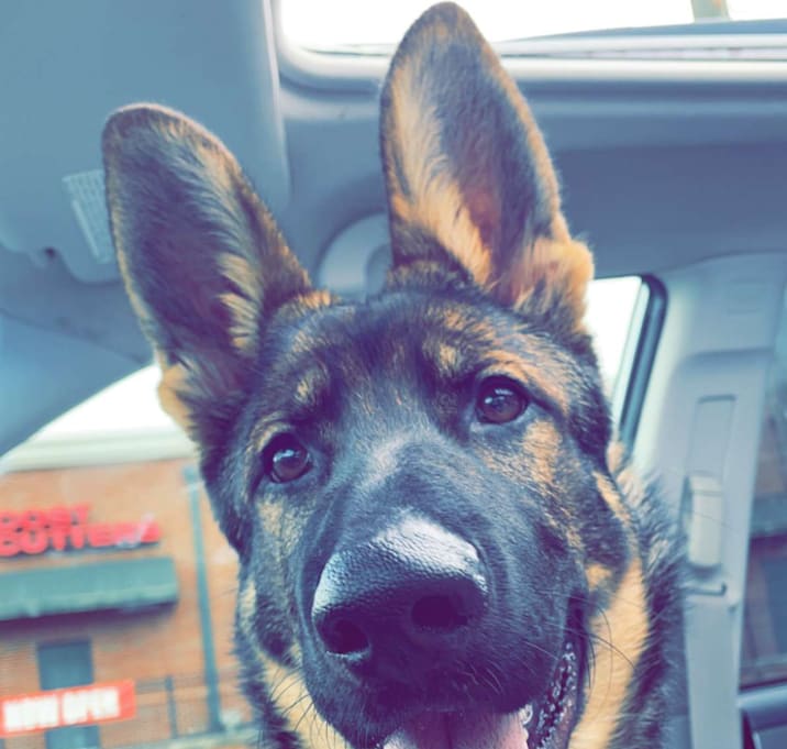 Photo of Storm