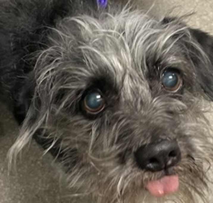 Photo of Spike