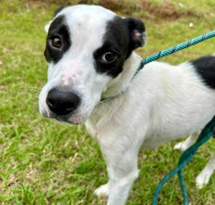 Photo of Portobello AKA Ella