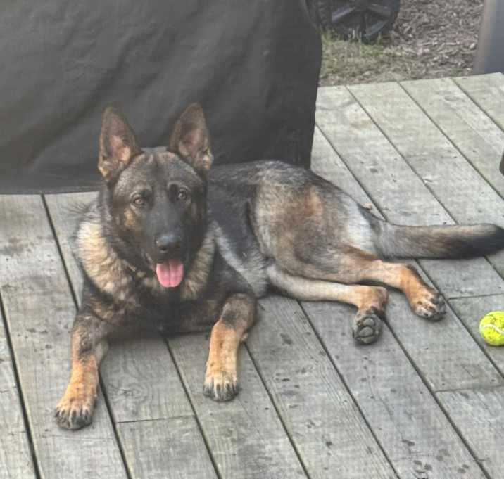 Photo of Tango