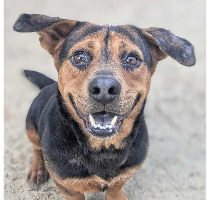 Photo of Choppa