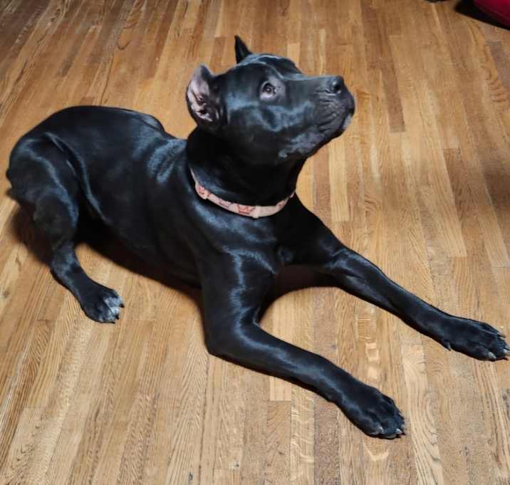 Photo of Cali