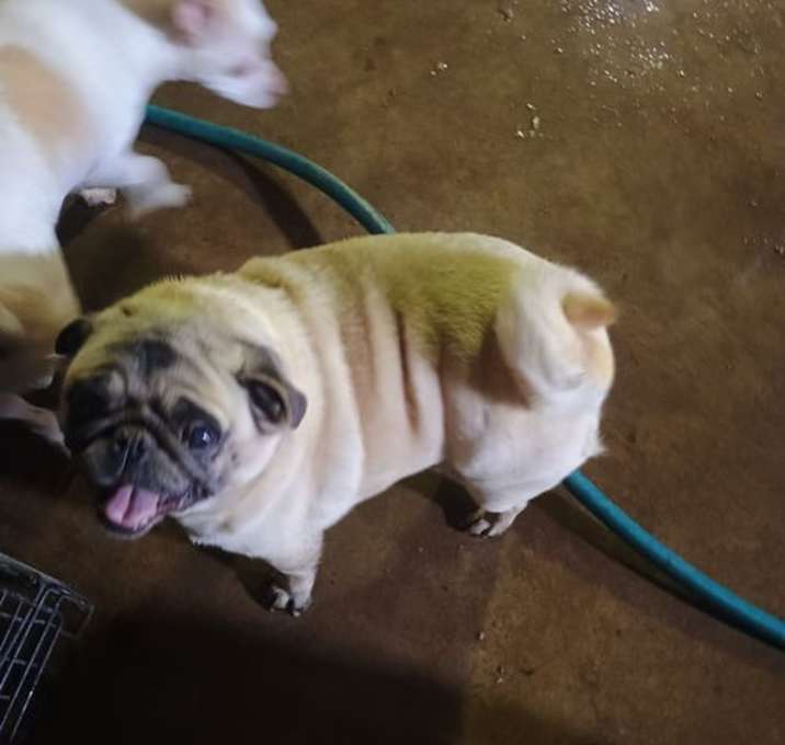 Photo of Lucy