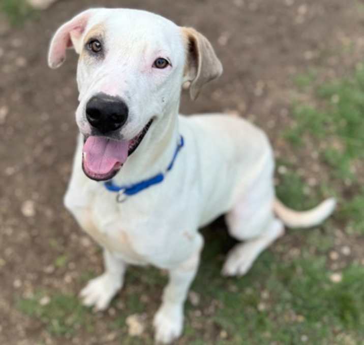 Photo of Moonpie