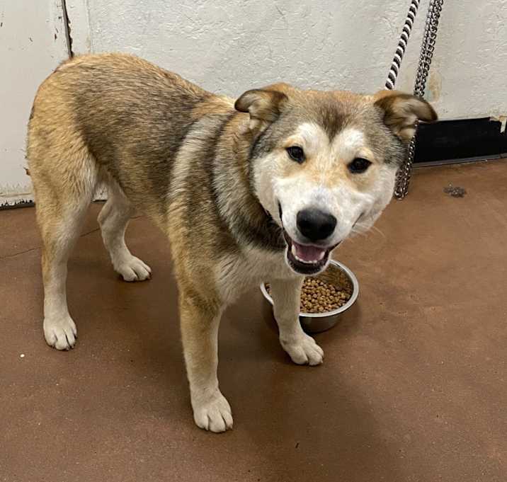 Photo of Denver