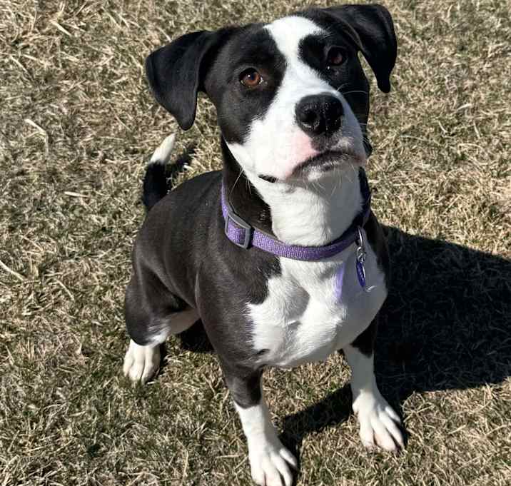 Photo of Zelie