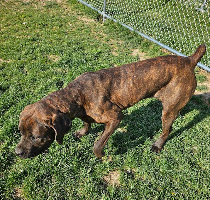 Photo of Stormy