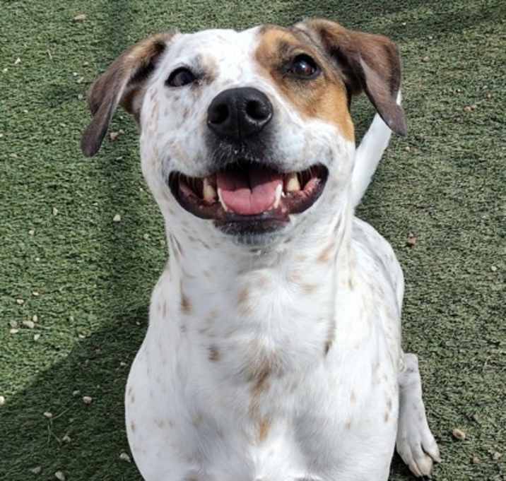 Photo of Sadie