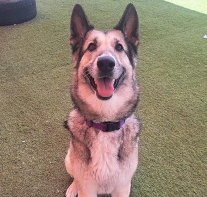 Photo of Roxanne