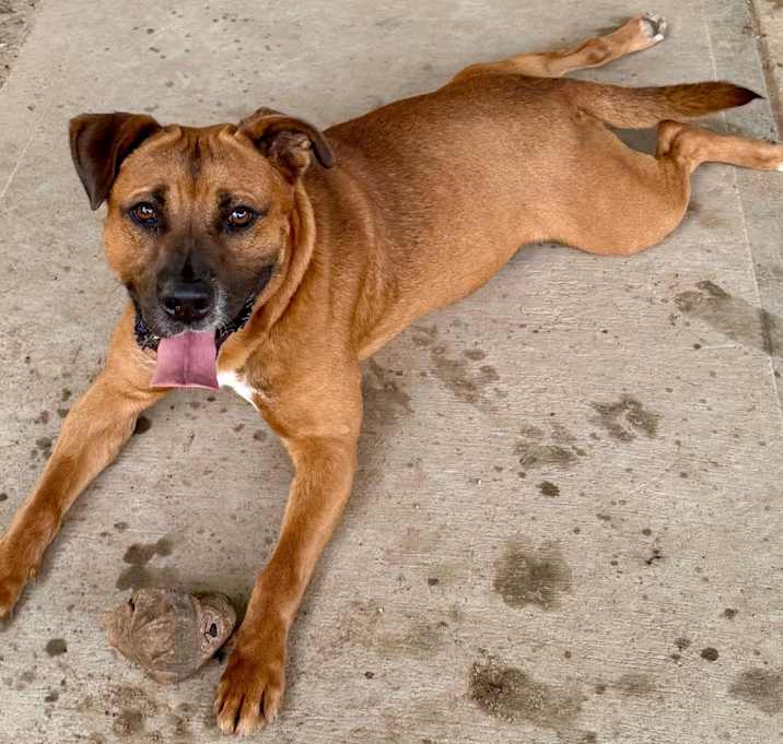 Photo of Odin