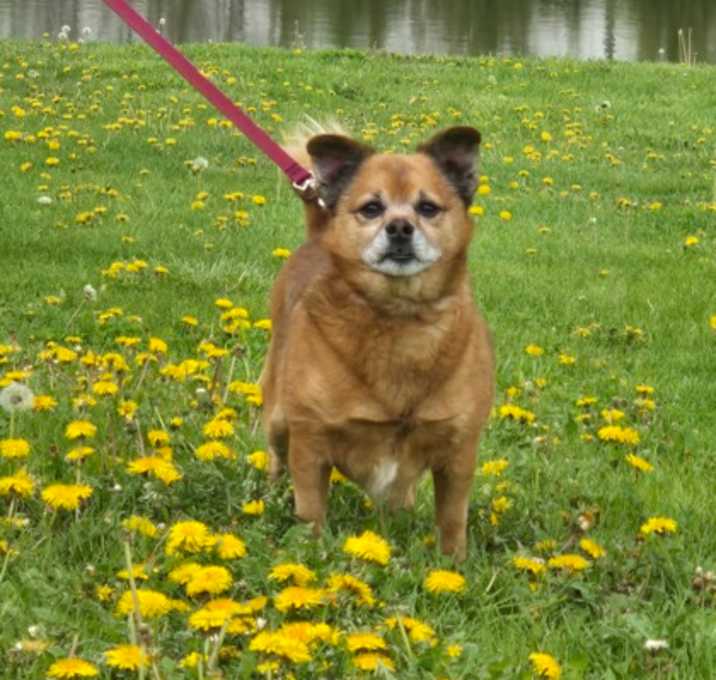 Photo of Patty