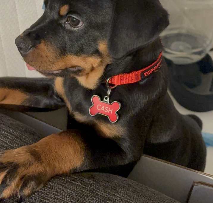 Photo of Cash