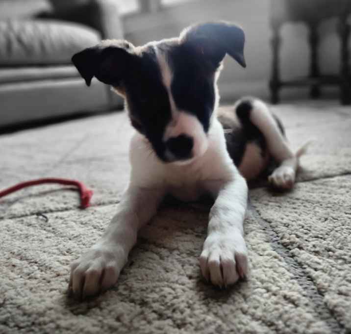 Photo of Anita