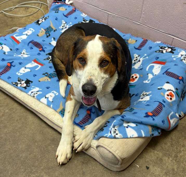 Photo of PETEY