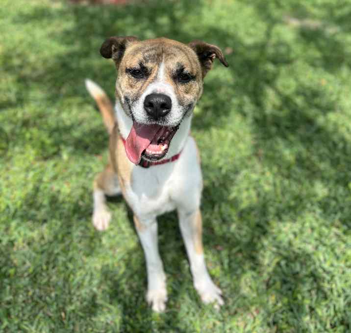 Photo of Ollie