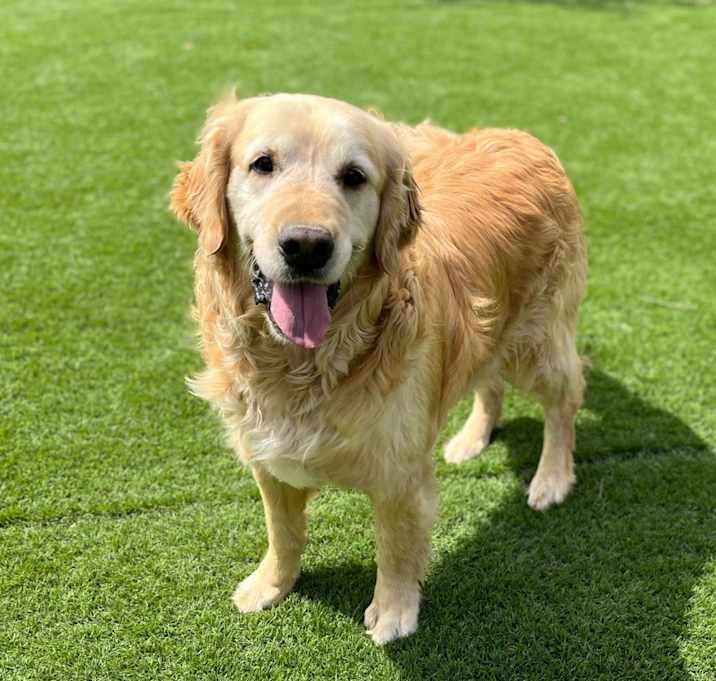 Photo of Benny