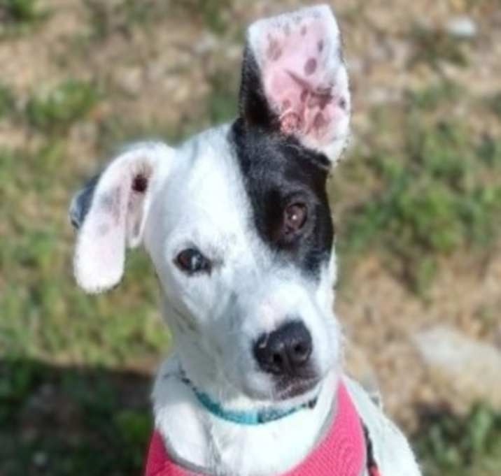Photo of Lucy