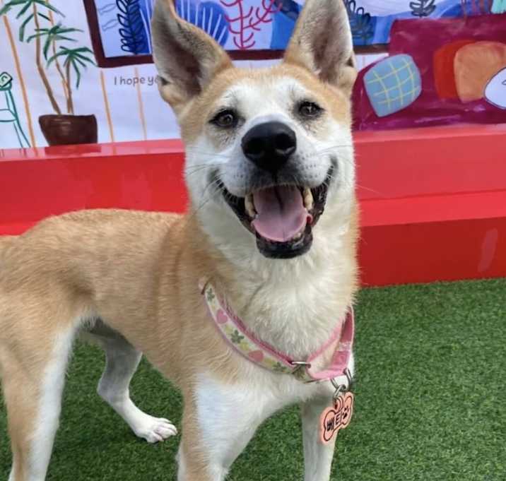 Photo of Betty