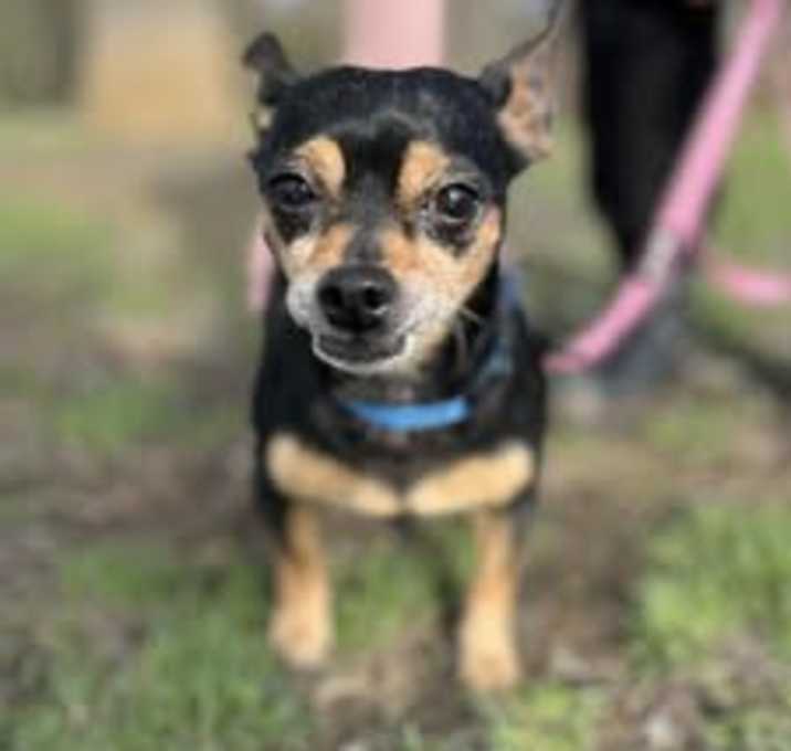 Photo of Sassy