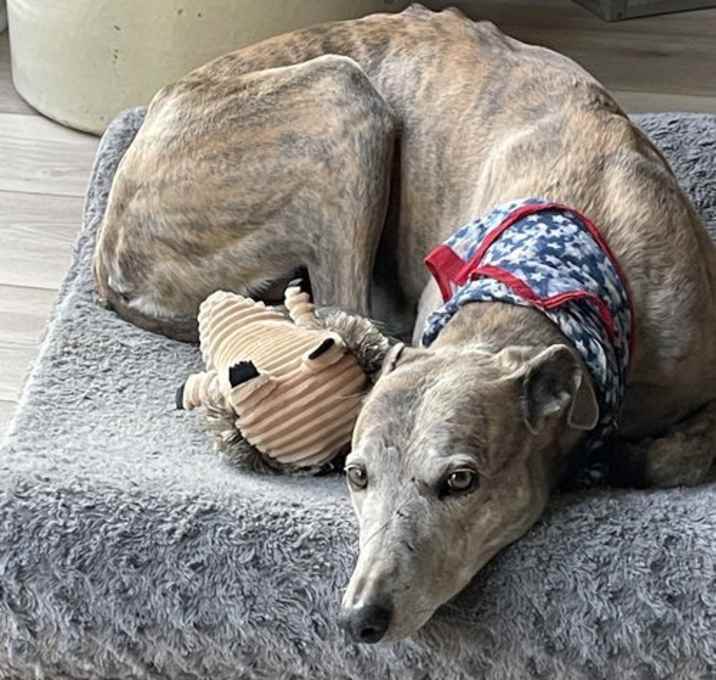 Photo of Gabby
