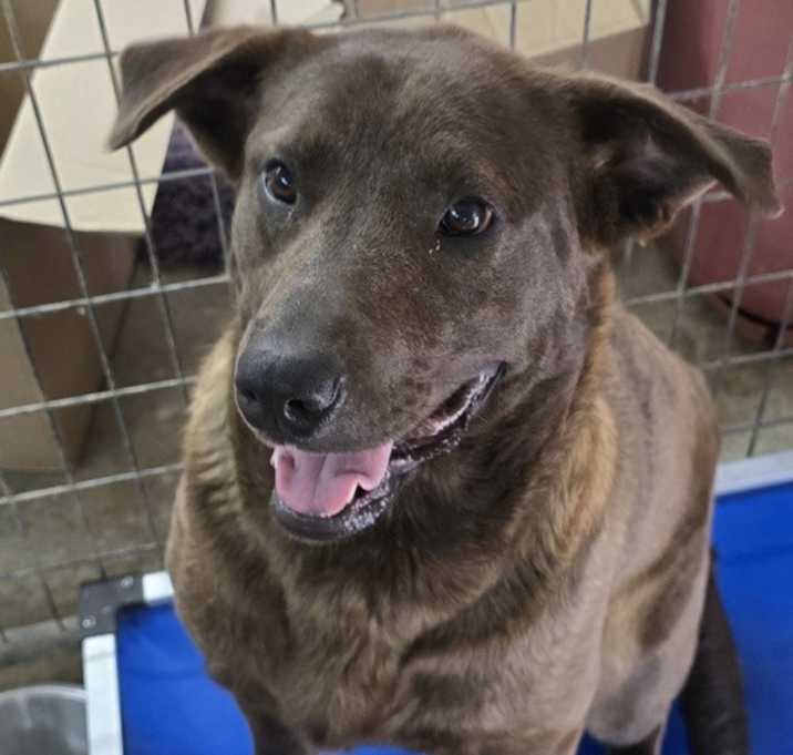Photo of Hershey
