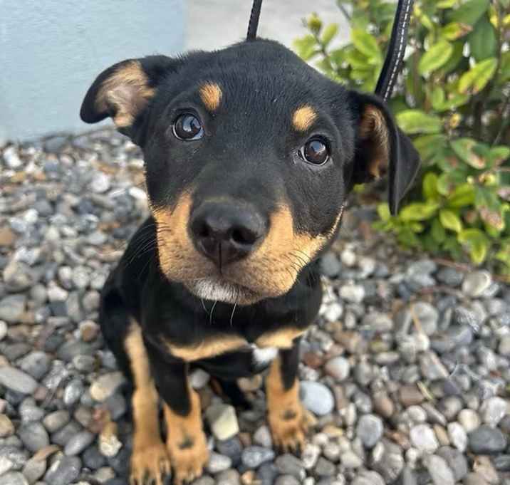 Photo of Jake