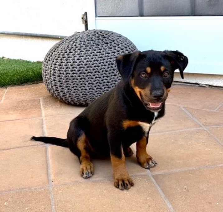 Photo of Diamond