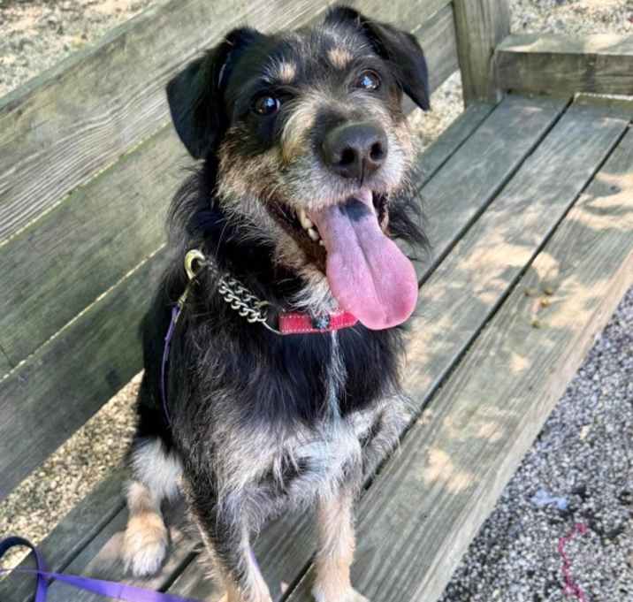 Photo of Blue
