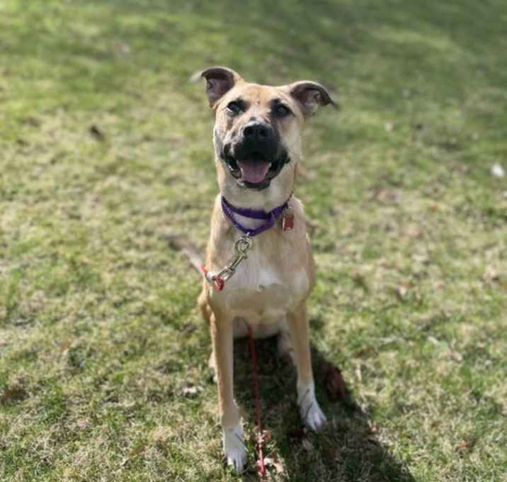 Photo of Ruby