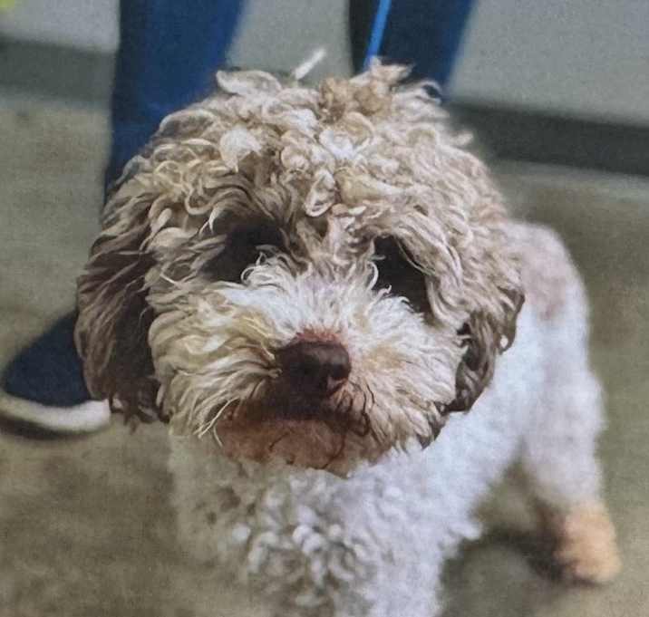 Photo of Murphy