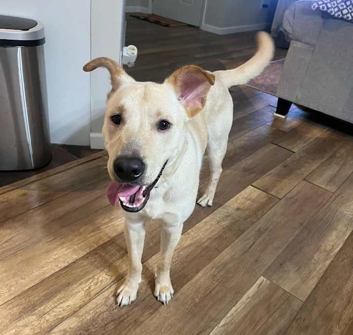 Photo of Oliver