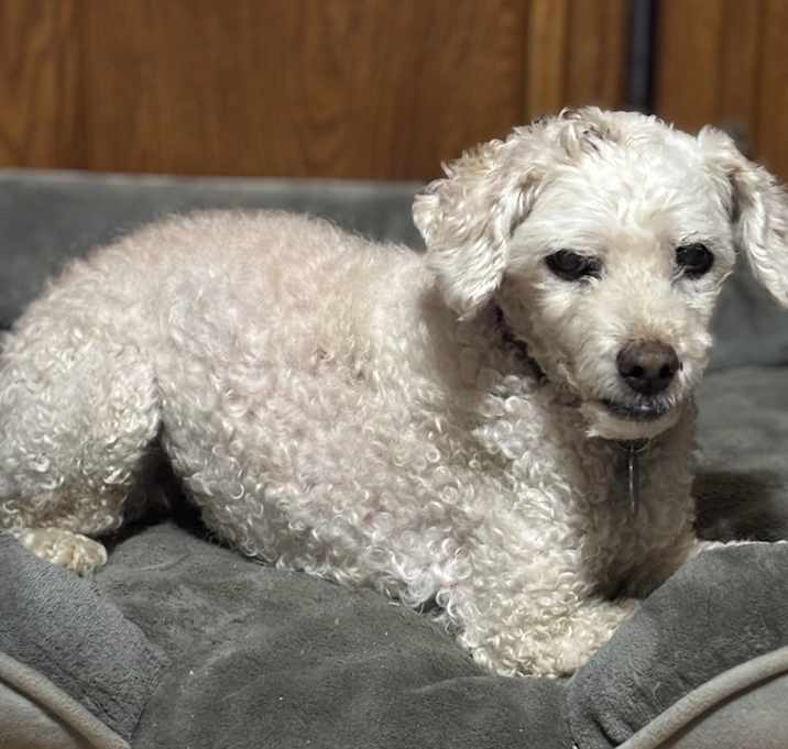 Photo of Miss Bianca