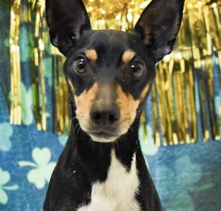 Photo of Paco