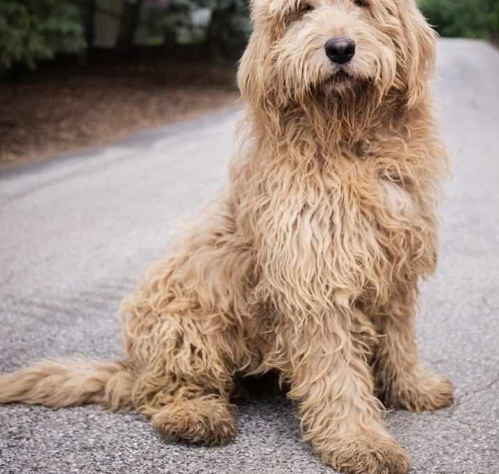 Photo of Mr. Doodle Dallas