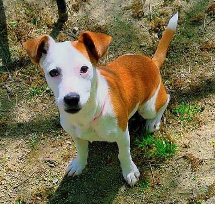 Photo of Misty