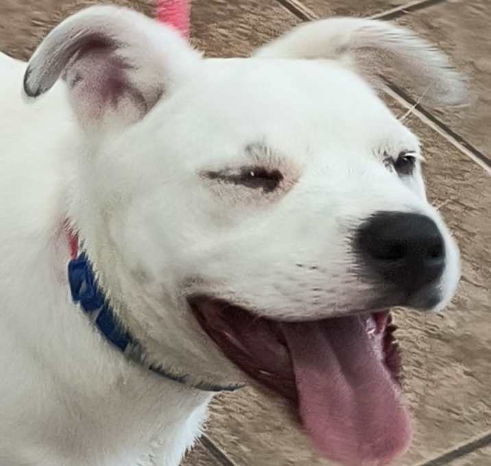 Photo of Wrangler