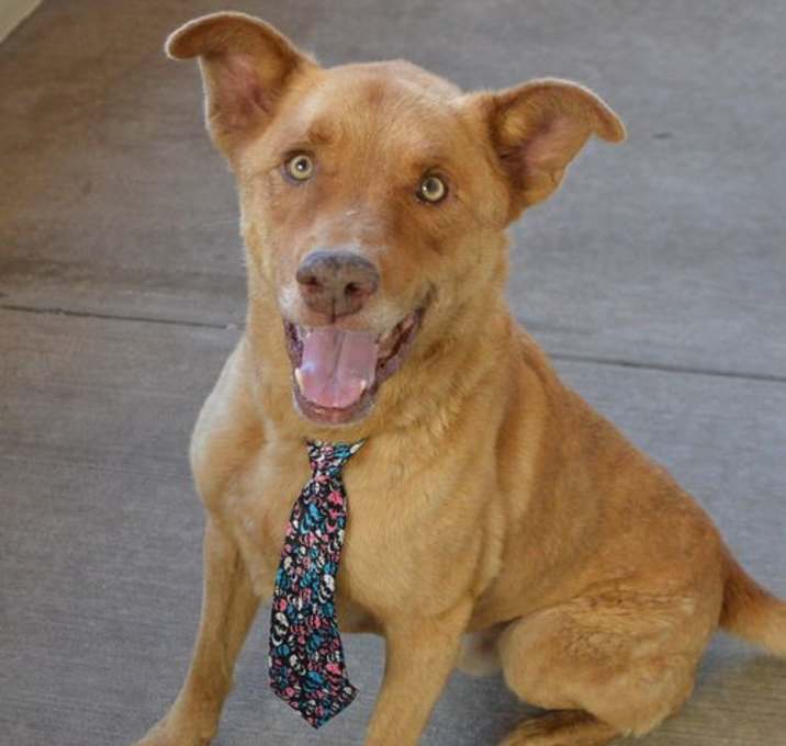 Photo of Bingo