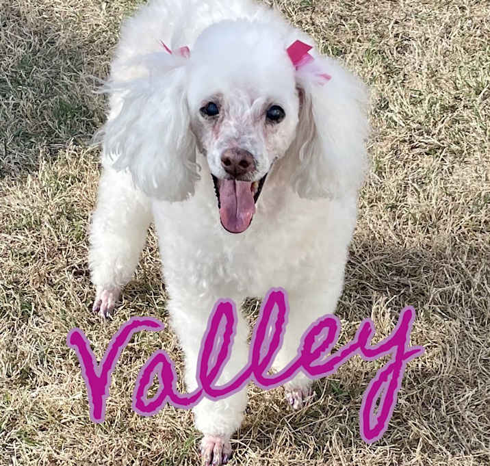 Photo of Valley Girl in Texarkana TX