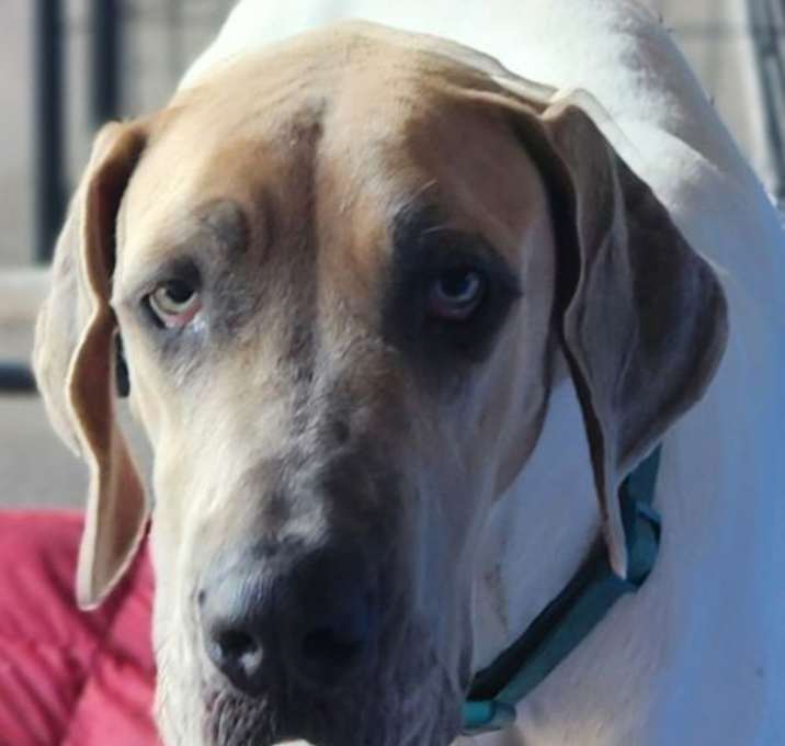 Photo of Akila
