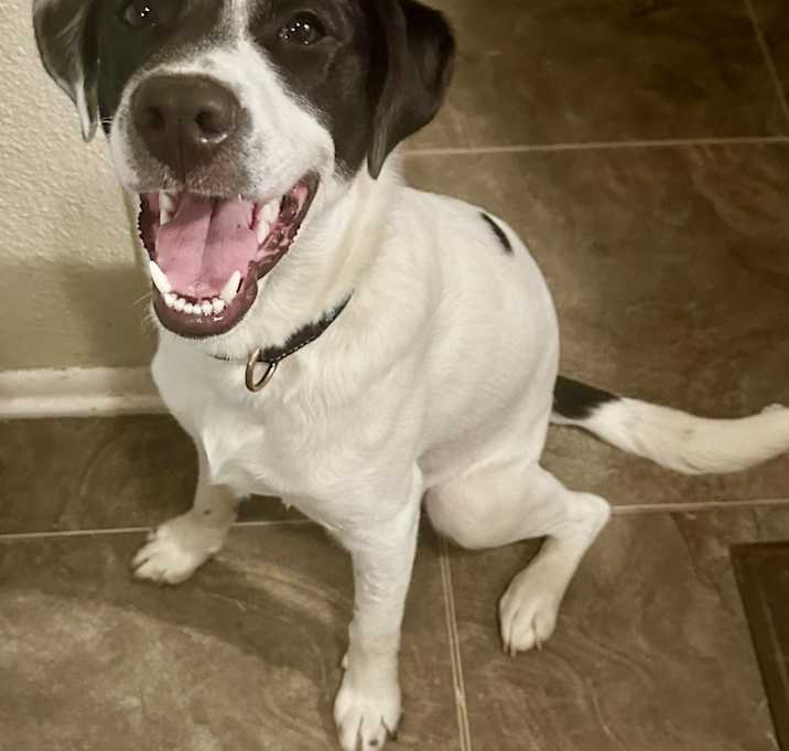 Photo of Wacey