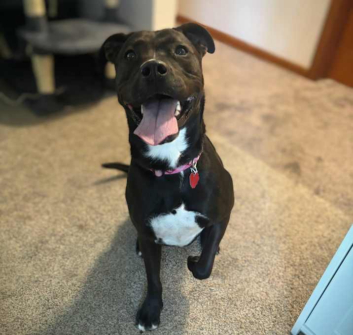 Photo of Minnie
