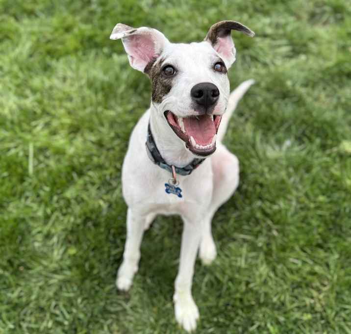 Photo of Meg