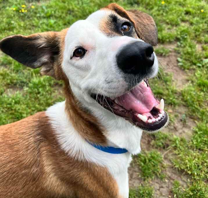 Photo of Zeus