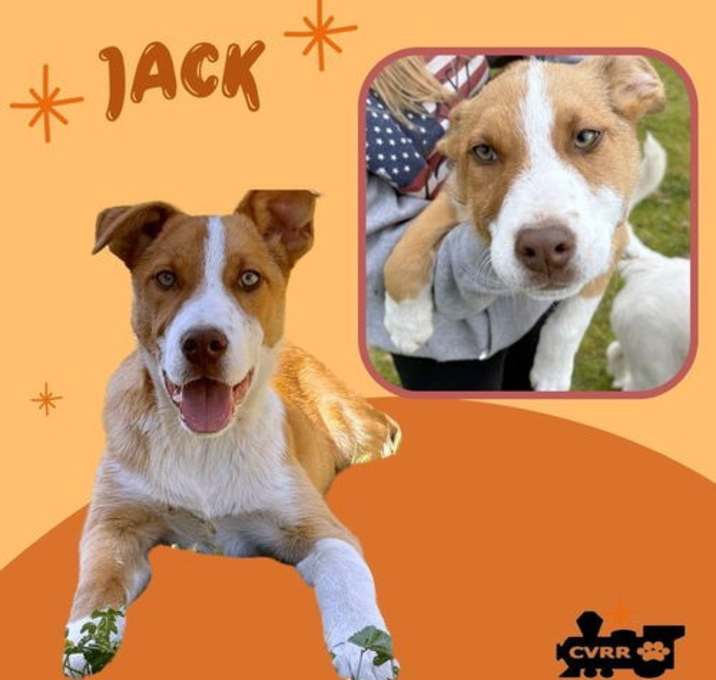 Photo of Jack