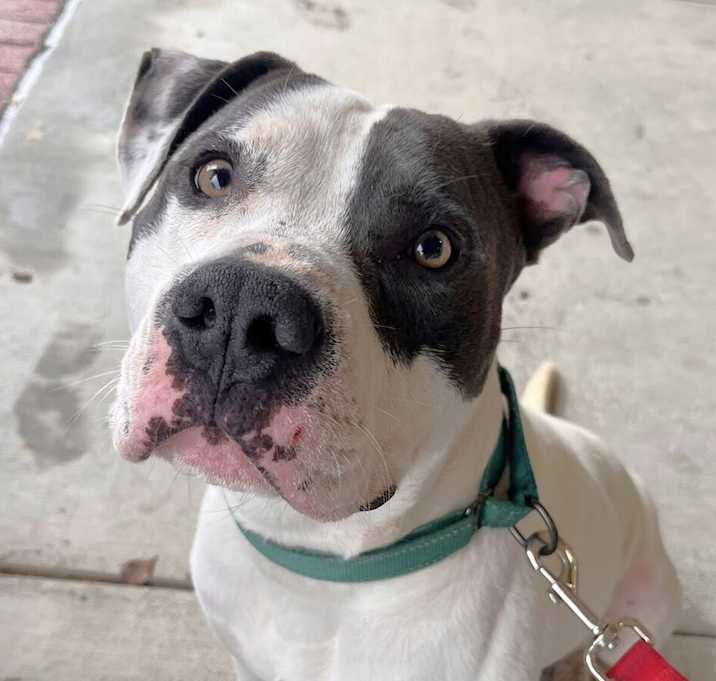 Photo of Percy